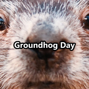 Groundhog Day — Holidays option 11