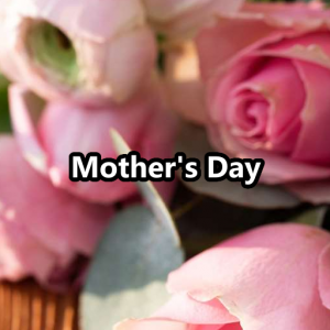 Mothers Day — Holidays option 20