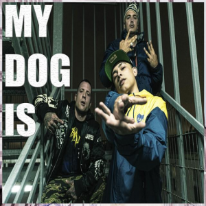 Mydogis — TRUENO TODOS SUS TEMAS (2018-2025) option 39