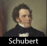 Schubert — 200+ composers of classical music option 172