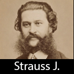 Strauss Johann — 200+ composers of classical music option 183