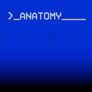 Zzzzz 1762743669anatomy 1681228877605 — Indie Horror Series/Games option 8