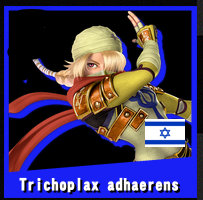 Zzzzz 1752708887tri — Super Smash Bros Ultimate Players from Israel option 117
