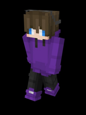 Money SMP (ALL SEASONS ALL PLAYERS) — option 95