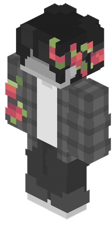 Zzzzz 17872747081000011461 — Money SMP (ALL SEASONS ALL PLAYERS) option 110
