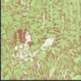 Screenshot 2024 02 17 133604 — ULTIMATE /MU/ CORE ALBUMS (2000 albums) option 69