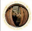 Screenshot 2024 02 17 142907 — ULTIMATE /MU/ CORE ALBUMS (2000 albums) option 179