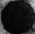 Screenshot 2024 02 17 194007 — ULTIMATE /MU/ CORE ALBUMS (2000 albums) option 408