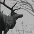 Screenshot 2024 02 17 194050 — ULTIMATE /MU/ CORE ALBUMS (2000 albums) option 419