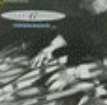 Zzzzz 1715526355screenshot 2024 02 18 120855 — ULTIMATE /MU/ CORE ALBUMS (2000 albums) option 1011