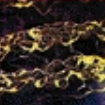 Zzzzz 1715526357screenshot 2024 02 18 123158 — ULTIMATE /MU/ CORE ALBUMS (2000 albums) option 1196