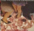 Zzzzz 1715526357screenshot 2024 02 18 123754 — ULTIMATE /MU/ CORE ALBUMS (2000 albums) option 1247