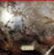 Zzzzz 1715526357screenshot 2024 02 18 123803 — ULTIMATE /MU/ CORE ALBUMS (2000 albums) option 1250
