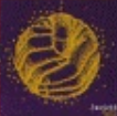 Zzzzz 1715526358screenshot 2024 02 18 124505 — ULTIMATE /MU/ CORE ALBUMS (2000 albums) option 1310
