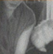 Zzzzz 1715526359screenshot 2024 02 18 125103 — ULTIMATE /MU/ CORE ALBUMS (2000 albums) option 1395