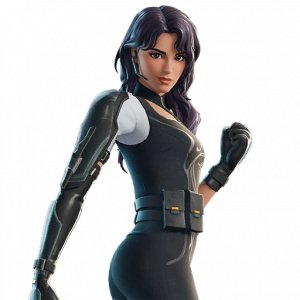 Zzzzz 1777664312onyx Winter — Every Fortnite Pass Skin option 324