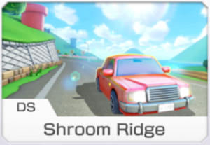 Mario Kart 8 Deluxe Courses (w/ Battle Stages!) — option 22
