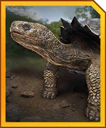 Zzzzz 1715356246carbonemys — criaturas de la prehistoria option 133