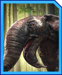 Zzzzz 1715356246deinotherium — criaturas de la prehistoria option 79