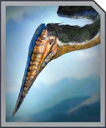 Zzzzz 1715356247hatzegopteryx — criaturas de la prehistoria option 27