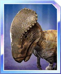 Zzzzz 1715356247homalocephale — criaturas de la prehistoria option 158