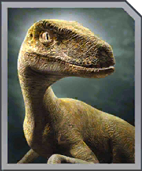 Zzzzz 1715356247velociraptor — criaturas de la prehistoria option 25