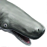 Zzzzz 1715358114leviathan — criaturas de la prehistoria option 182