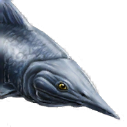 Zzzzz 1715358114protosphyraena — criaturas de la prehistoria option 181