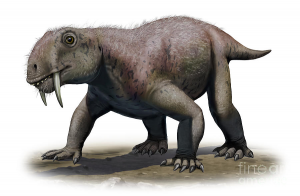 Zzzzz 1715392019anomocephalus — criaturas de la prehistoria option 378