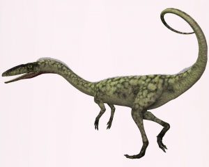 Zzzzz 1715392019coelophysis — criaturas de la prehistoria option 379