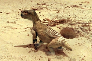 Zzzzz 1715392019diictodon — criaturas de la prehistoria option 382