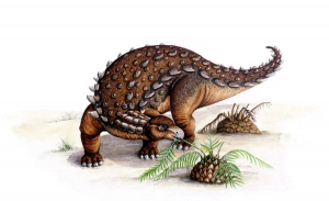 Zzzzz 1715392019dracopelta — criaturas de la prehistoria option 383