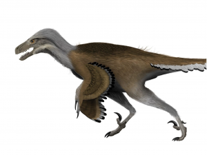 Zzzzz 1715392020dromaeosaurus — criaturas de la prehistoria option 384