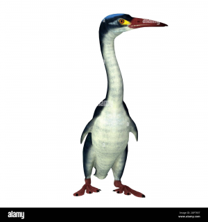 Zzzzz 1715392020hesperonis — criaturas de la prehistoria option 390