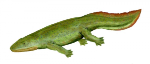 Zzzzz 1715392020hynerpeton — criaturas de la prehistoria option 392