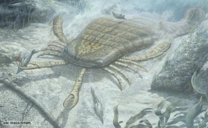 Zzzzz 1715392020jaekelopterus — criaturas de la prehistoria option 394