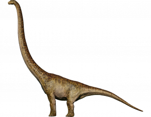 Zzzzz 1715392020mamenchisaurus — criaturas de la prehistoria option 396