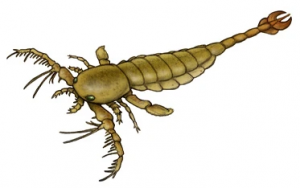 Zzzzz 1715392021megalograptus — criaturas de la prehistoria option 397