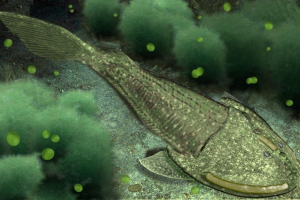Zzzzz 1715392021ostracodermos — criaturas de la prehistoria option 407
