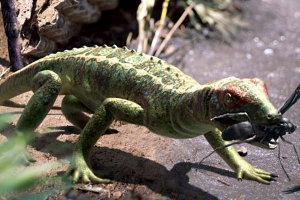 Zzzzz 1715392021petrolacosaurus — criaturas de la prehistoria option 408