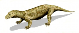 Zzzzz 1715392021procynosuchus — criaturas de la prehistoria option 410