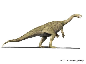 Zzzzz 1715392022sellosaurus — criaturas de la prehistoria option 416