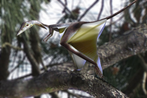Zzzzz 1715392022sharovipteryx — criaturas de la prehistoria option 418