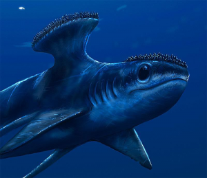 Zzzzz 1715392022stethacanthus — criaturas de la prehistoria option 419