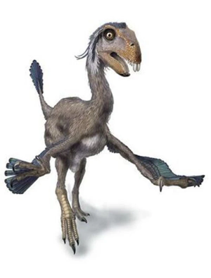 Zzzzz 1715658799incisivosaurus — criaturas de la prehistoria option 435