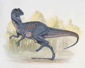 Zzzzz 1715658800chilantaisaurus — criaturas de la prehistoria option 427