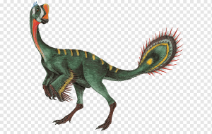 Zzzzz 1715658800conchoraptor — criaturas de la prehistoria option 428