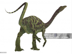 Zzzzz 1715658801anchisaurus — criaturas de la prehistoria option 441