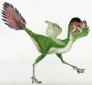 Zzzzz 1715658801caudipteryx — criaturas de la prehistoria option 430
