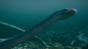 Zzzzz 1716256451tuarangisaurus — criaturas de la prehistoria option 455